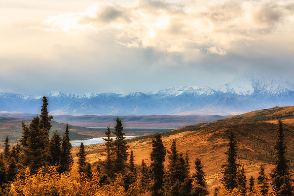 20120903-IMG_2780: The Alaska Range in Denali National Park, Alaska.