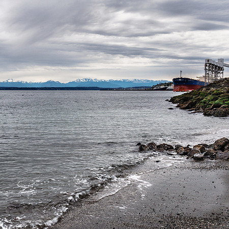20190415-JAH06941(Square): Myrtle Edwards Park in Seattle. Two harbor seals in the upper-left!