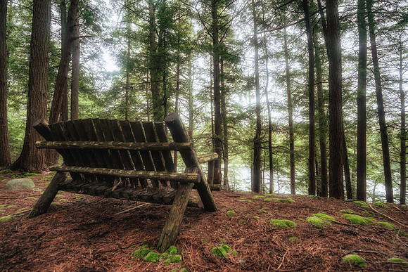 20190501-JAH07419: Well-worn ADK bench near Camp TopRidge in Paul Smiths, NY Adirondacks.