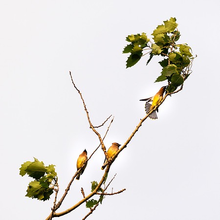 20210705-JAH00463