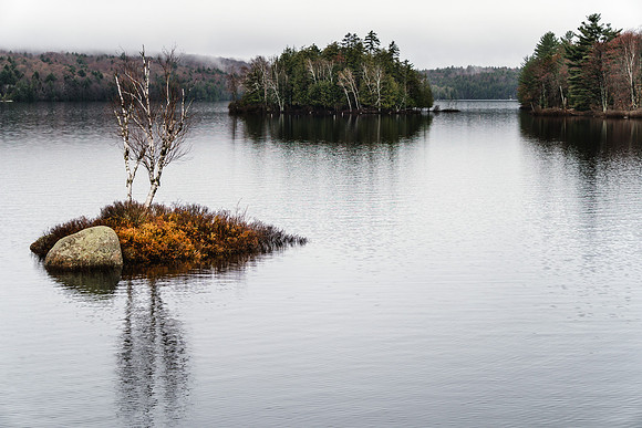 20190502-JAH07510: Rock Island Bay in Tupper Lake, Adirondacks NY.