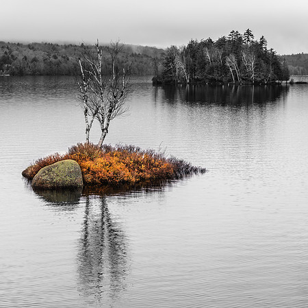 20190502-JAH07515: Rock Island Bay in Tupper Lake, Adirondacks NY. (Square)