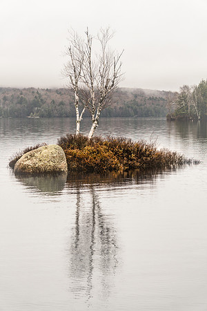 20190502-JAH07537: Rock Island Bay in Tupper Lake, Adirondacks NY.