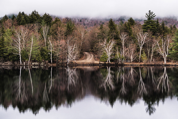 20190502-JAH07566: Beaver pond off Rt 30 in Tupper Lake, NY Adirondacks.