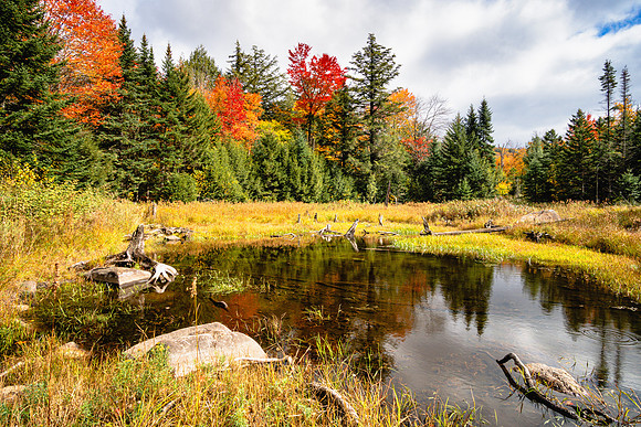 JAH00766: The trail to OK Slip Falls in Indian Lake, Adirondacks New York.