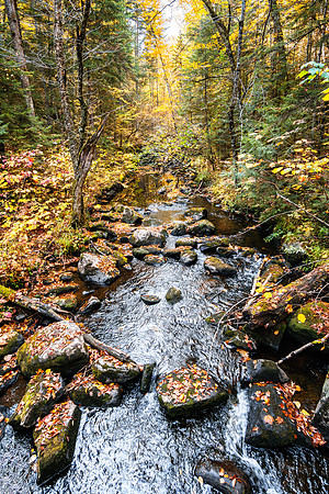 JAH00914: OK Slip Brook in Indian Lake, Adirondacks New York.