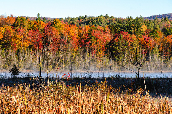 20191005-JAH01107: Along Route 28N in Indian Lake, Adirondacks, NY.