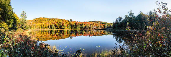 20191005-JAH01118: Along Route 28N in Indian Lake, Adirondacks, NY. (Wide)