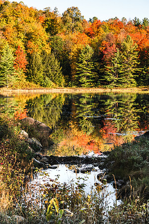 20191005-JAH01134: Along Route 28N in Indian Lake, Adirondacks, NY.