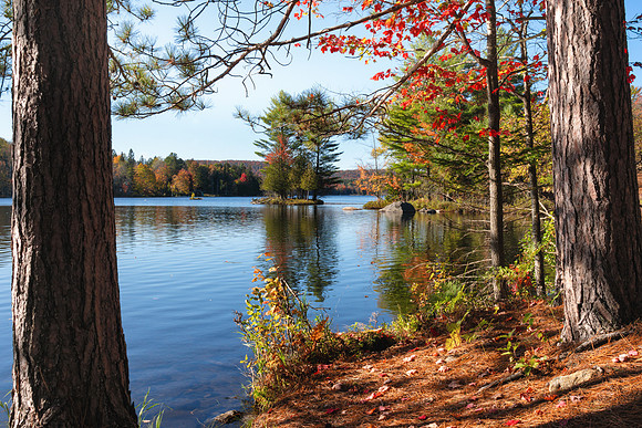 20191005-JAH01190: Adirondack Lake @ Byron Park in the town Indian Lake NY.