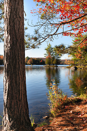 20191005-JAH01194: Adirondack Lake @ Byron Park in the town Indian Lake NY.