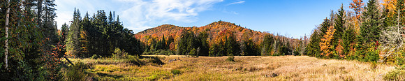 20191008-JAH01547: On the trail to Peaked Mountain in the Siamese Ponds Wilderness.