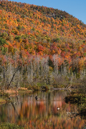 20191008-JAH01454: Along Thirteenth Lake Road on the way to Peaked Mountain.
