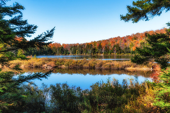 20191008-JAH01719: Peaked Mountain Pond with Fall colors.