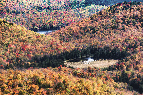 20191008-JAH01816: Bogs and ponds dot the landscape along the trail to Peaked Mountain.