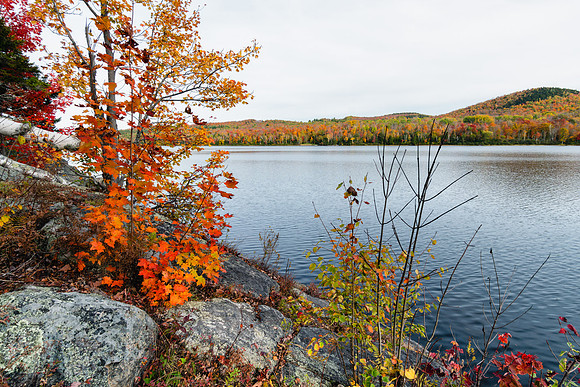20191008-JAH02077: Thirteenth Lake, Adirondacks NY.