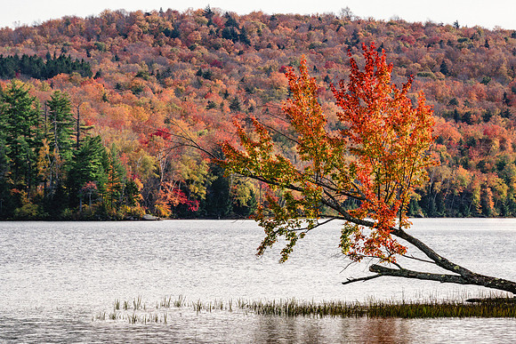 20191008-JAH02108: Thirteenth Lake, Adirondacks NY.