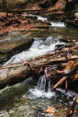 20200111-JAH03189: Hiking through the creek during a rare winter thaw at Conklin Gully, NY State.