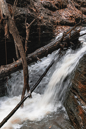 20200111-JAH03339: Hiking through the creek during a rare winter thaw at Conklin Gully, NY State.