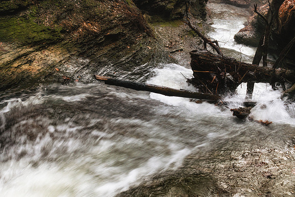 20200111-JAH03349: Hiking through the creek during a rare winter thaw at Conklin Gully, NY State.