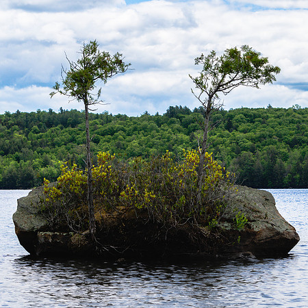 20200607-JAH04961: Blue Mountain Lake, Adirondacks NY.