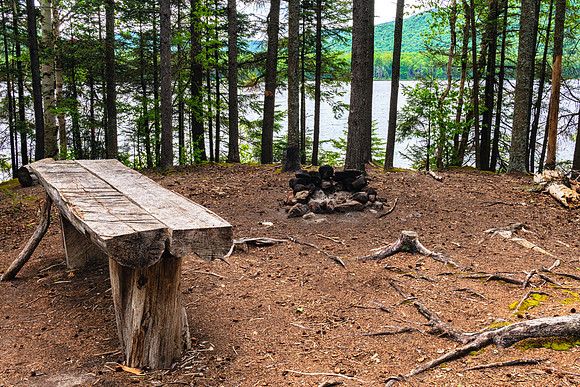 20200609-JAH05476: Cedar River Flow, Indian Lake Adirondacks NY. Camp site #6, east shore.