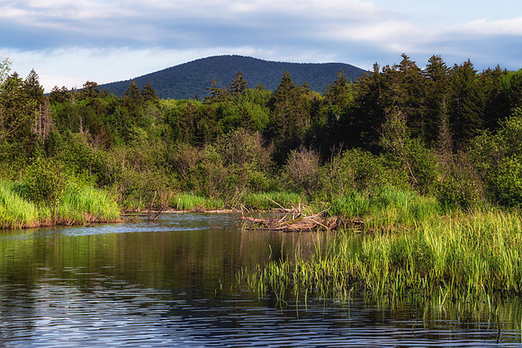 20200609-JAH05543: Cedar River Flow, Indian Lake Adirondacks NY.