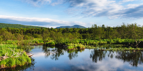 20200609-JAH05562: Cedar River Flow, Indian Lake Adirondacks NY.