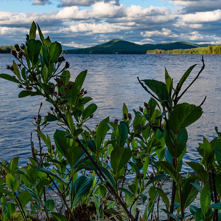 20200612-JAH06332: Little Tupper Lake, Adirondacks NY.  Camp #6