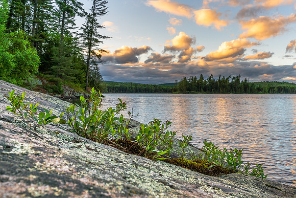 20200612-JAH06438: Little Tupper Lake, Adirondacks NY. Island Camp #3 from #6