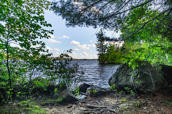 20200612-JAH06243: Little Tupper Lake, Adirondacks NY. Camp #6