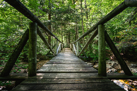 20200906-JAH08451: Bridge over West Stony Creek