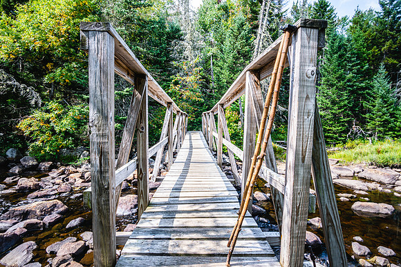 20200909-JAH08756: Bridge near Sampson Bog