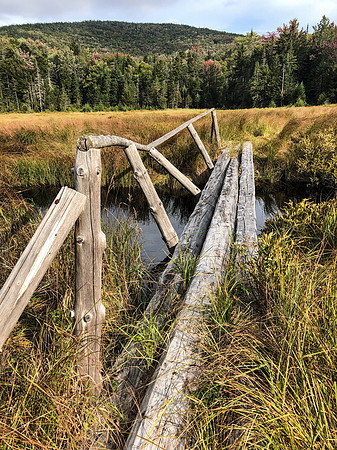 20200913-IMG_4236: Just north of Tirrell Pond.