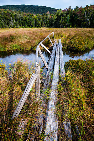 20200913-JAH09203: Just north of Tirrell Pond.