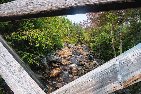 20200915-JAH09262: Cold River near leanto 1&2