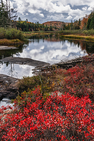 20201003-JAH09602: The Bog River empties into Tupper Lake.
